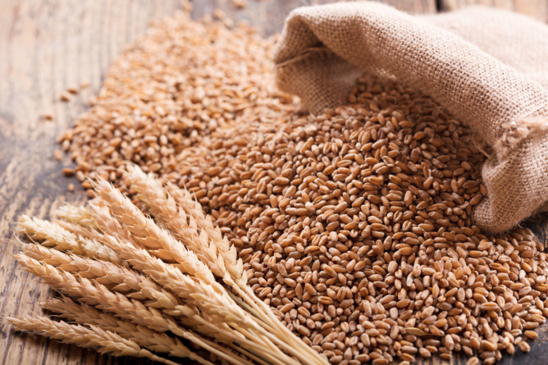 USDA sees more robust 2020-21 global wheat supply | 2021-02-11 | Baking  Business